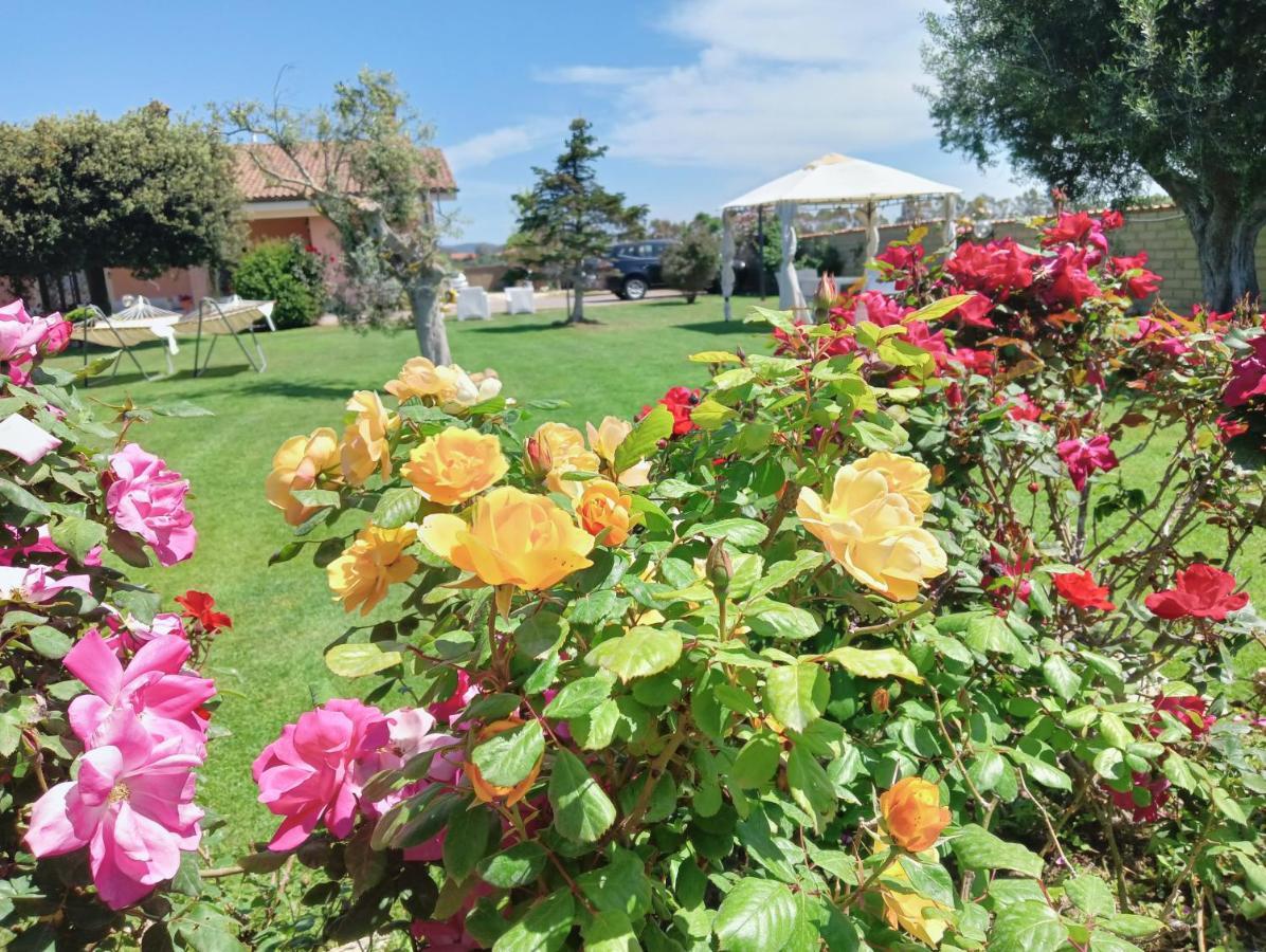 Elegance B&B Ladispoli Extérieur photo