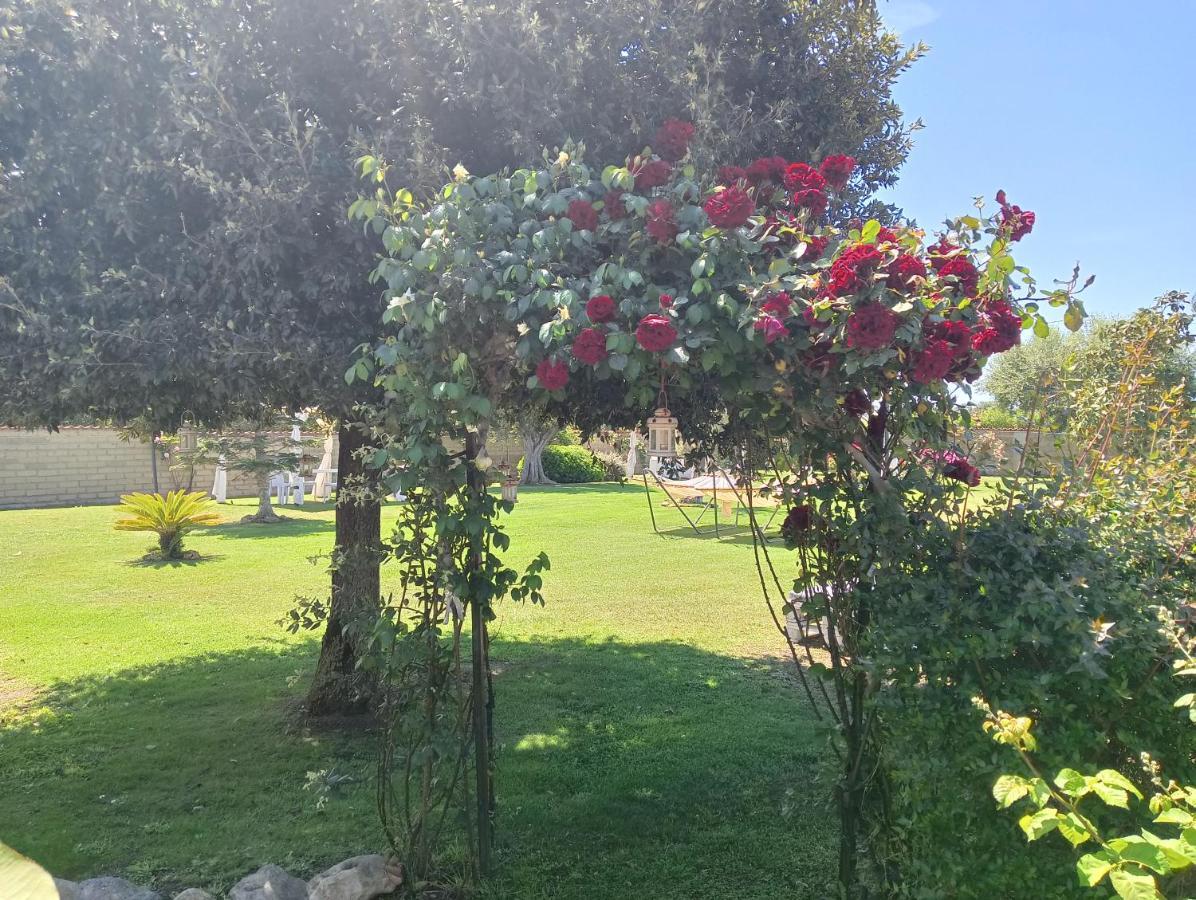 Elegance B&B Ladispoli Extérieur photo