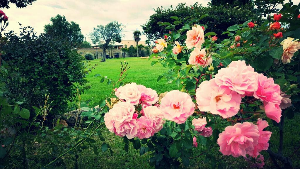Elegance B&B Ladispoli Extérieur photo