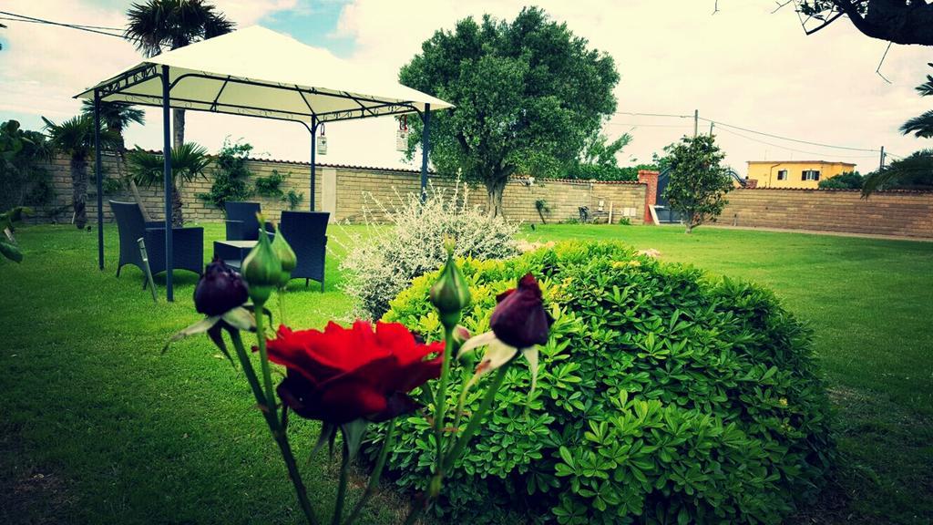 Elegance B&B Ladispoli Extérieur photo